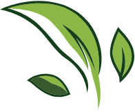 Stylized green leaves logo with three leaf shapes on a white background