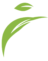 Green abstract leaf and human figure logo on a white background
