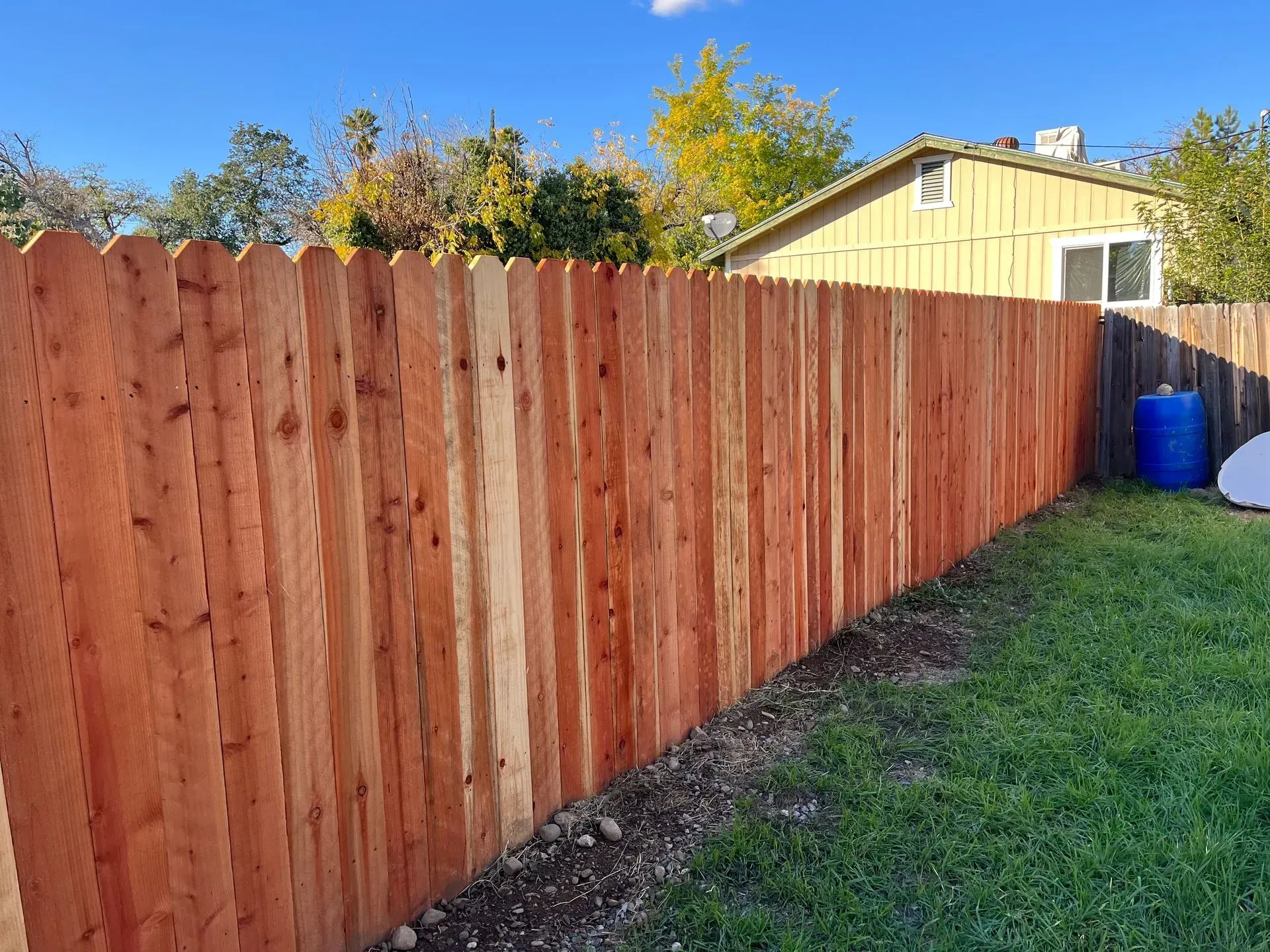 Wooden fence in a backyard with green grass and a house under a blue sky.