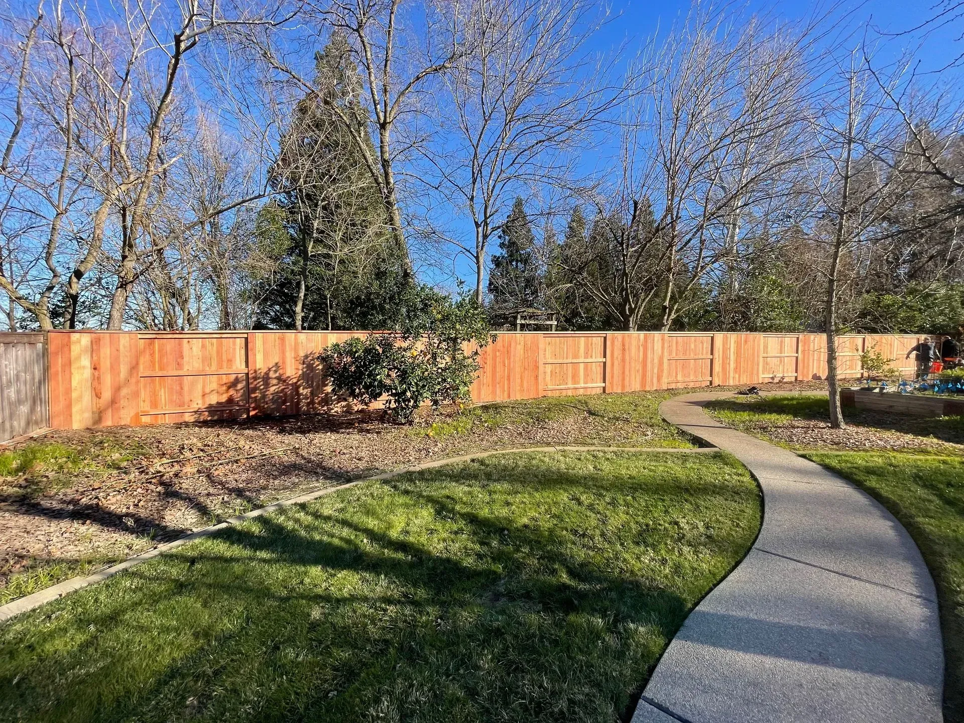 A wooden fence borders a green yard with a curved concrete path and leafless trees against a blue sky.