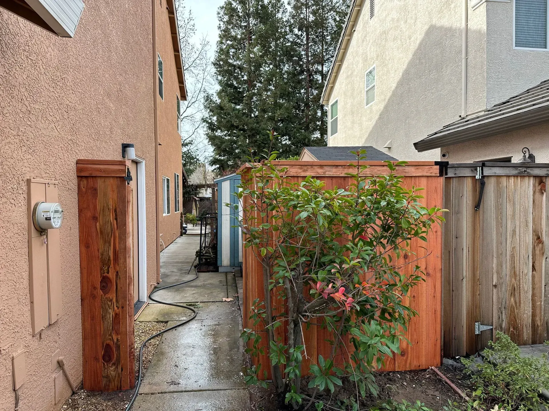 Narrow outdoor space between two buildings, with a wooden fence and shrubbery. A concrete walkway is visible.