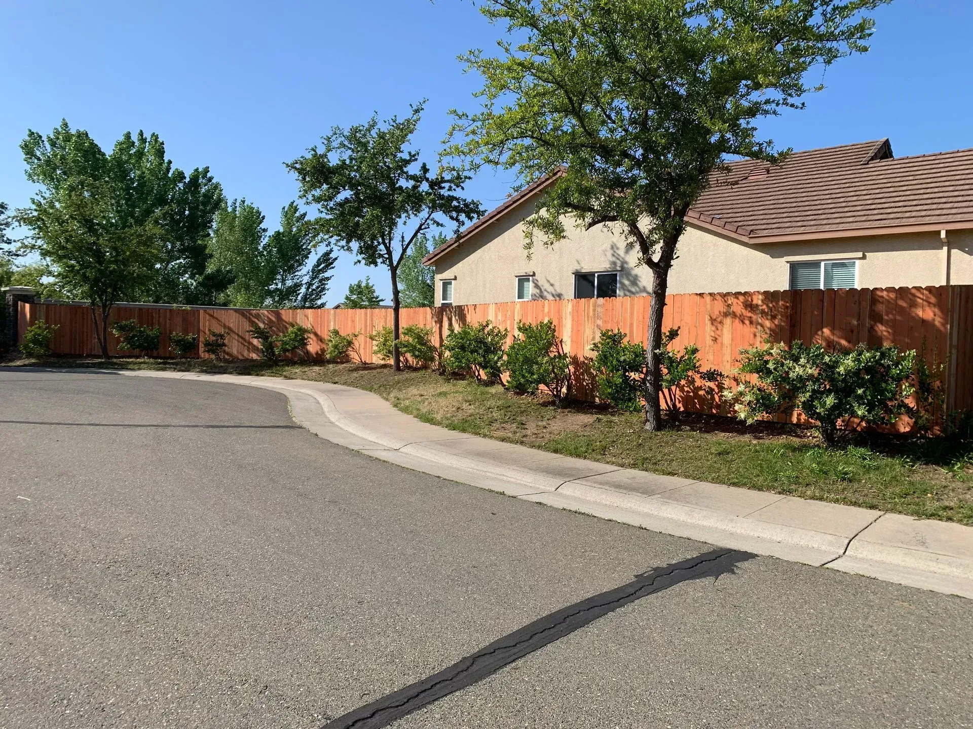 Residential street with a wooden fence, trees, and a house under a blue sky.