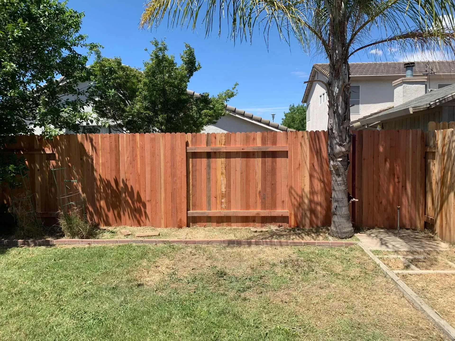 Wooden fence with gate in a backyard, under a tree on a sunny day.