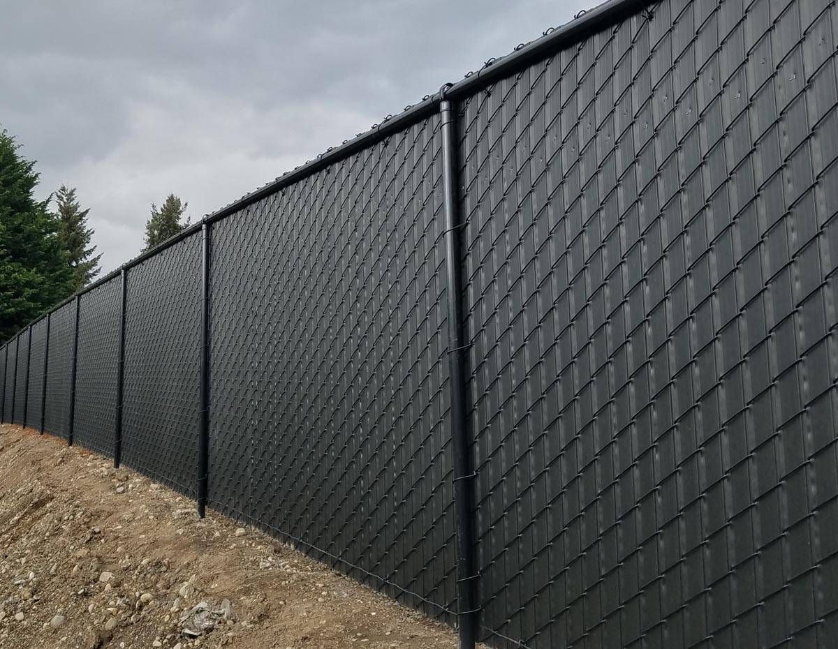 Wooden fence with black wire mesh panels, in a backyard setting.