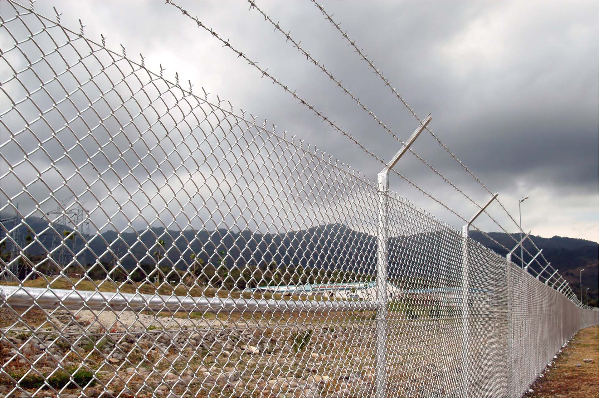 Wooden double gate with wire mesh panels, in a backyard setting.