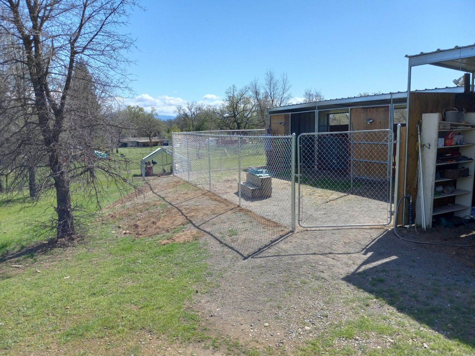 Wooden fence with black wire mesh panels, in a backyard setting.