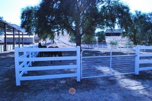 Driveway with a wooden fence, red house, and white garage on a sunny day.