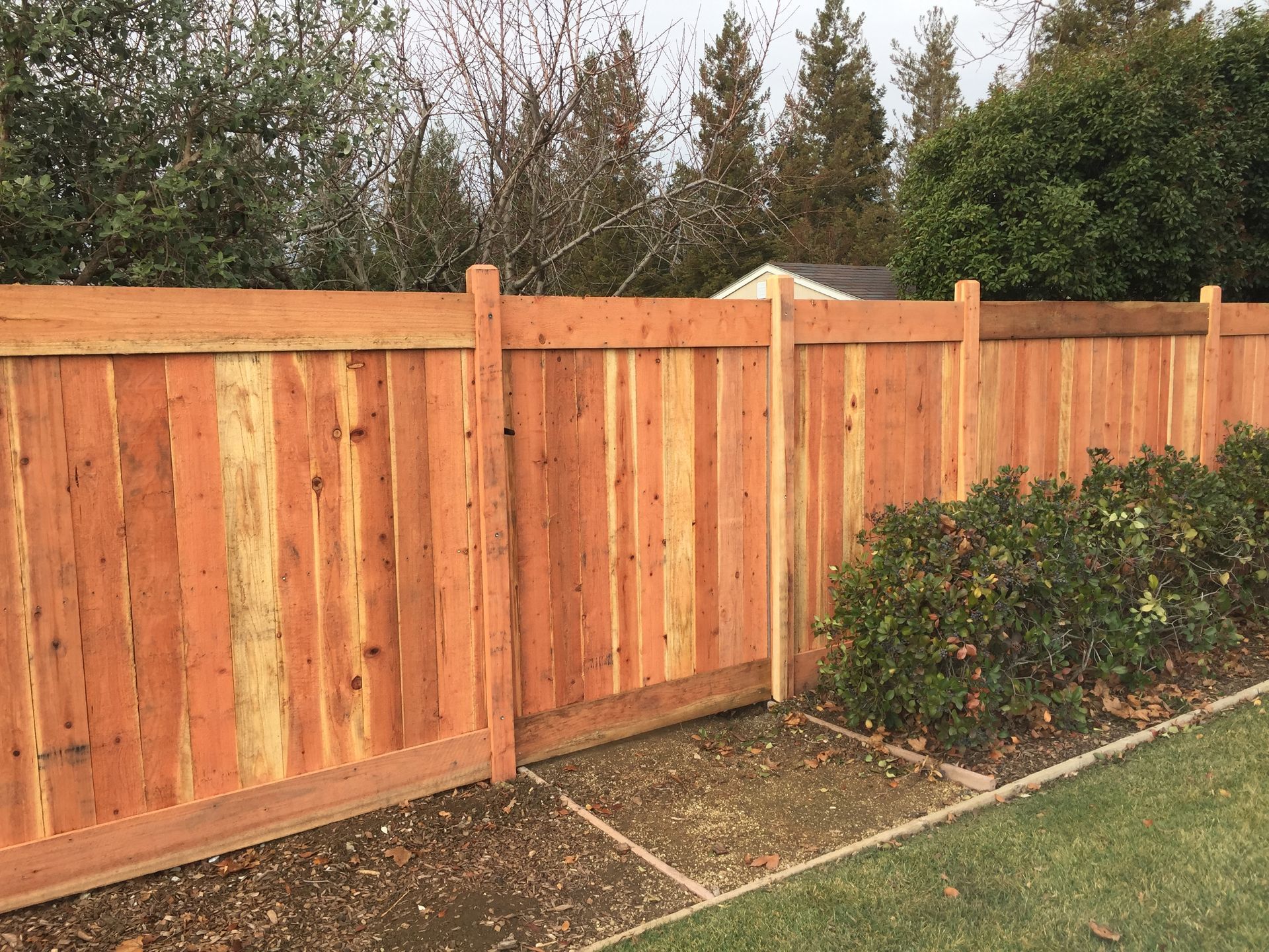 Wooden gate and fence, stained reddish-brown, in a yard with concrete and greenery.