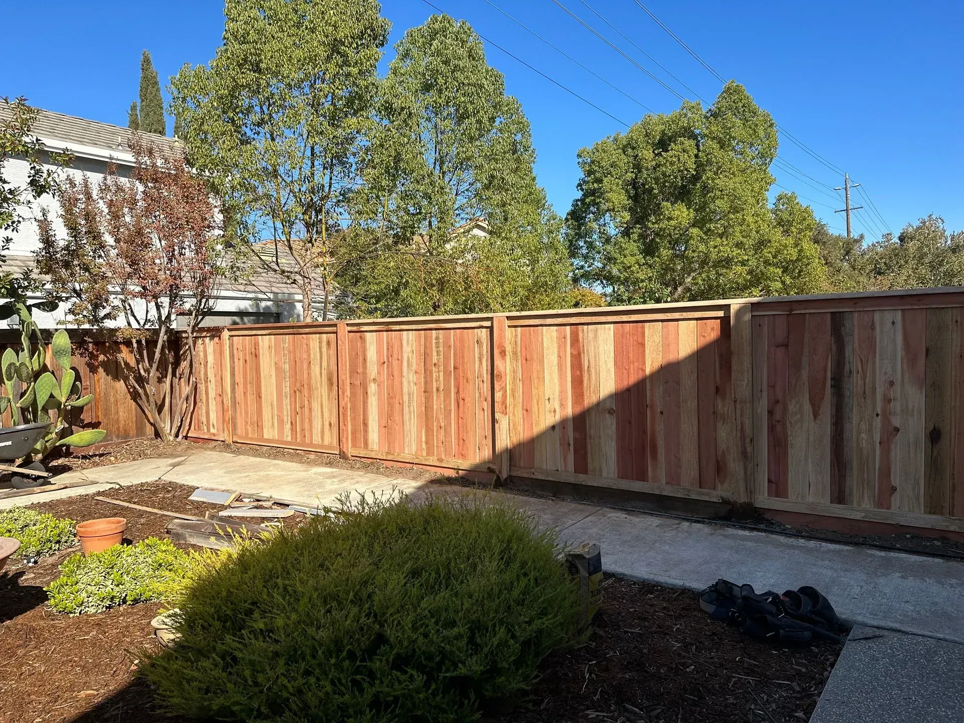 Wooden fence in a backyard with a bush, plants, and a sunny sky.