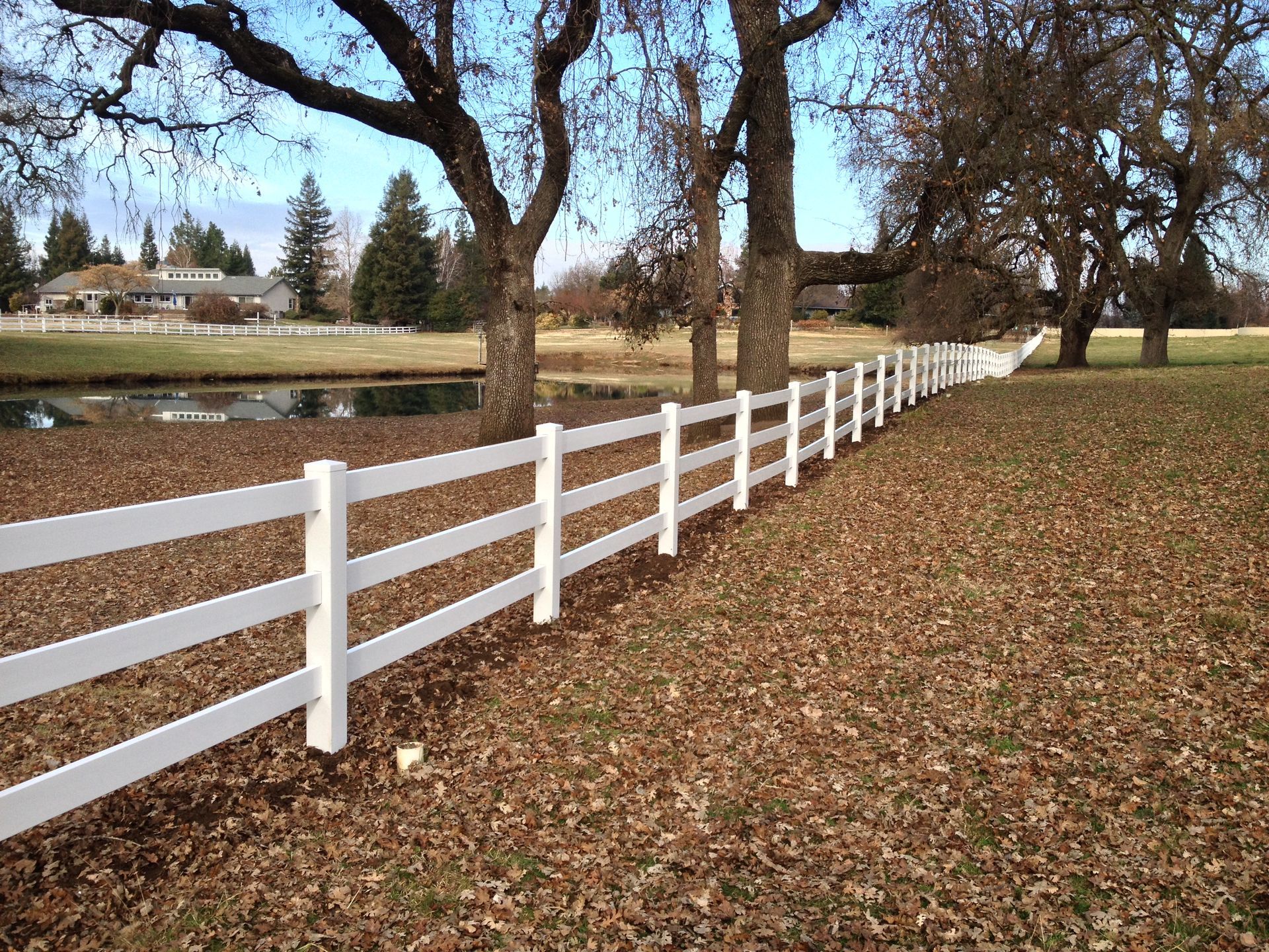 Wooden fence in a backyard, with sunlight casting shadows. Green bush and trees are also visible.