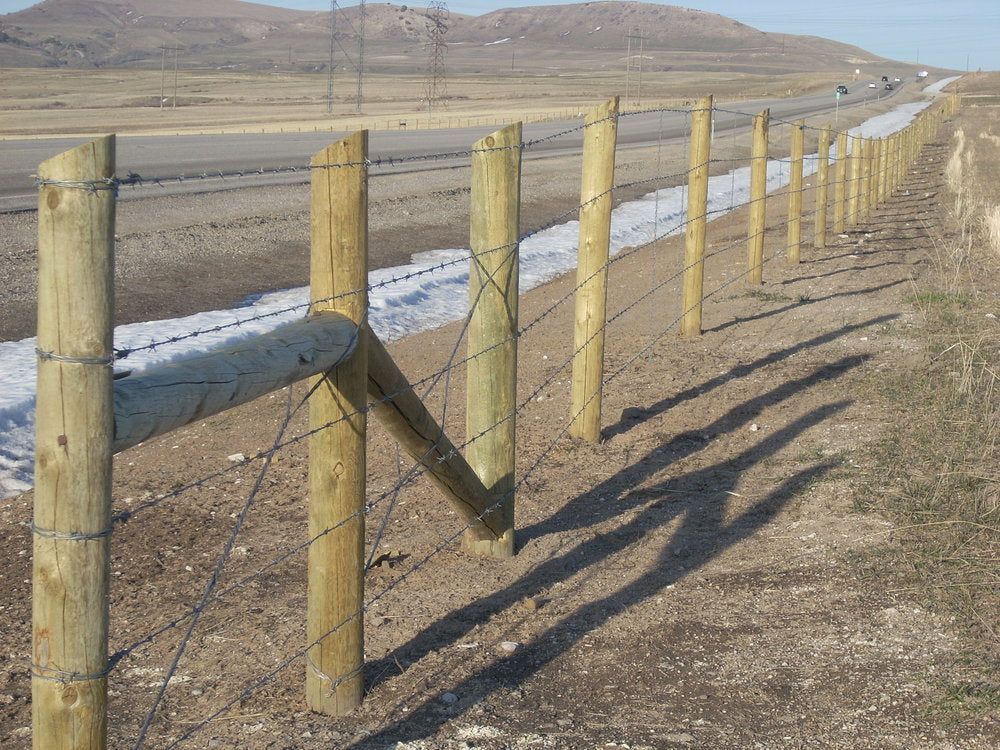 Residential driveway with wooden retaining wall and fence, cars, and a house. Concrete pavement.
