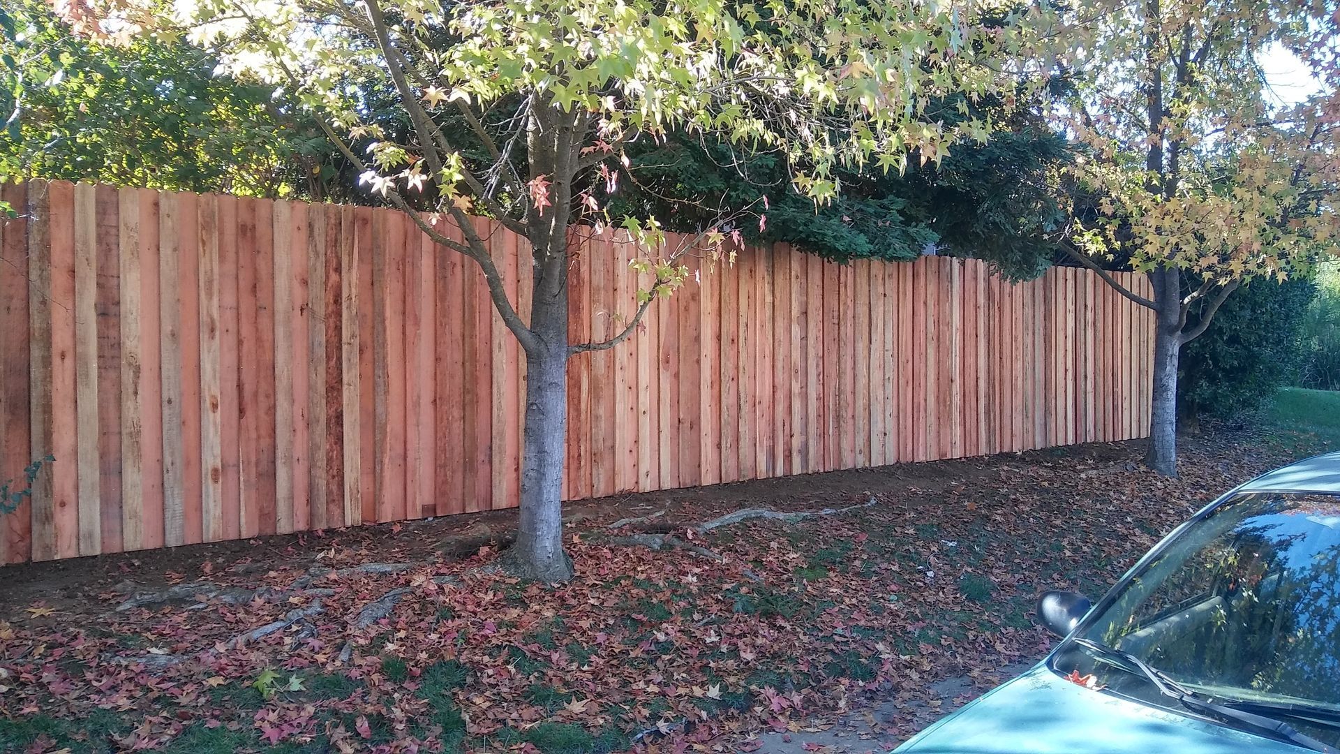 A wooden fence borders a green yard with a curved concrete path and leafless trees against a blue sky.