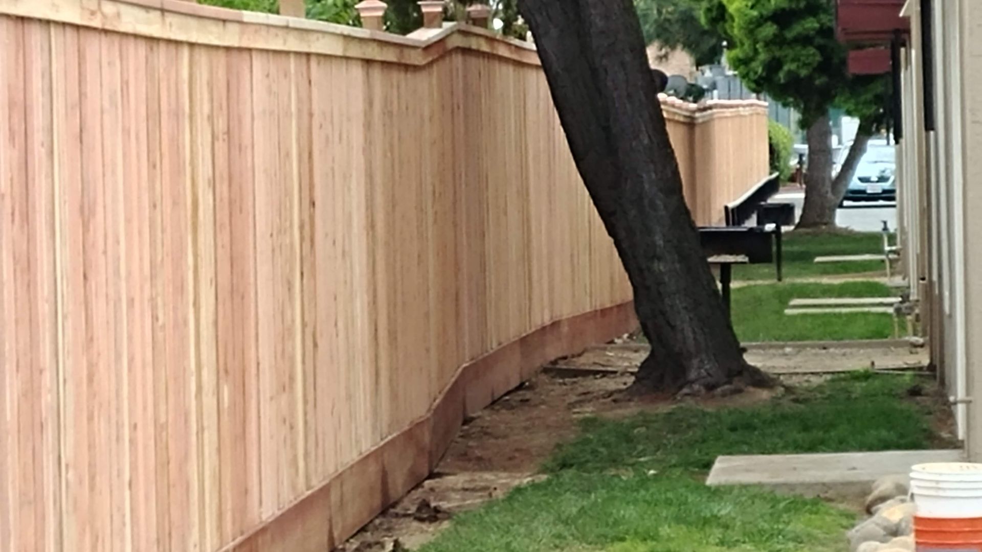 Wooden fence in a backyard with a tree and green grass under a clear blue sky.