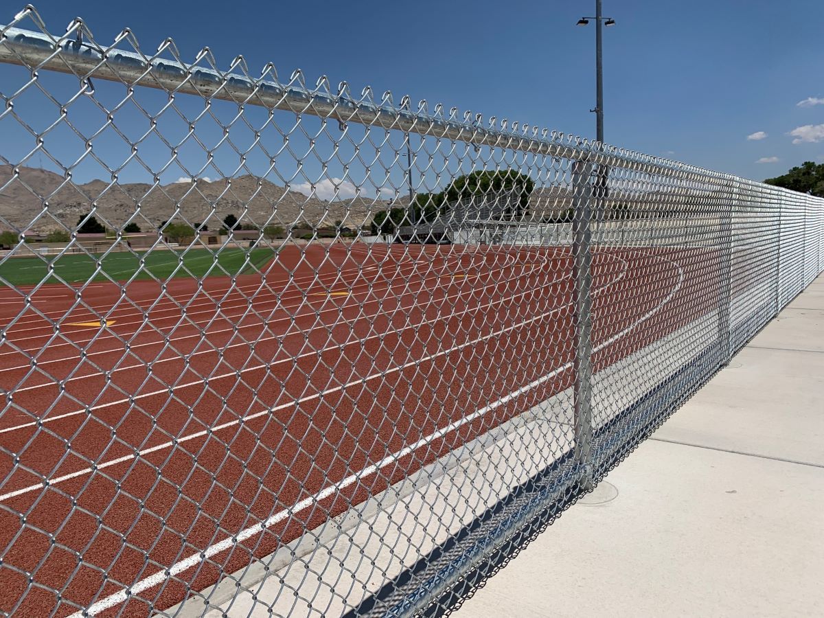 Wooden fence with black wire mesh panels, in a backyard setting.