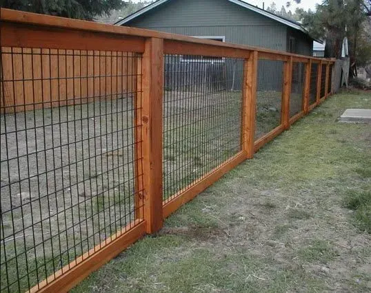 Wooden fence with black wire mesh, framing a grassy yard.