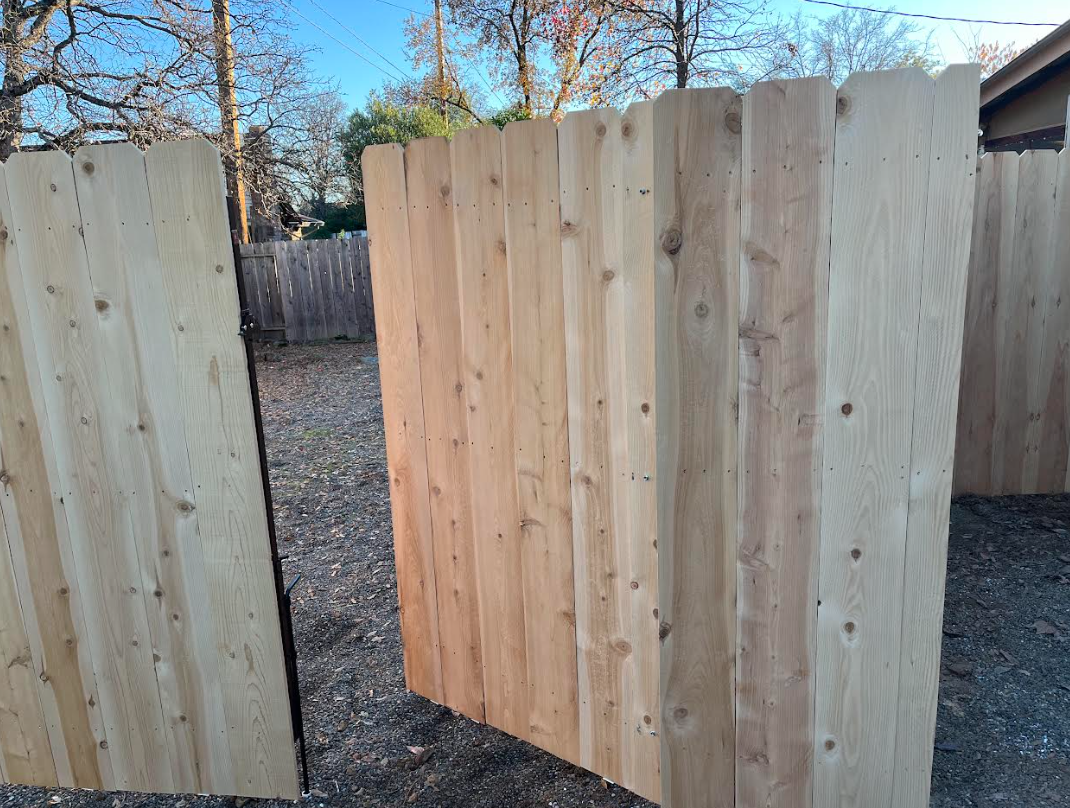 Wooden fence in a backyard garden with mulch and small plants under a blue sky.