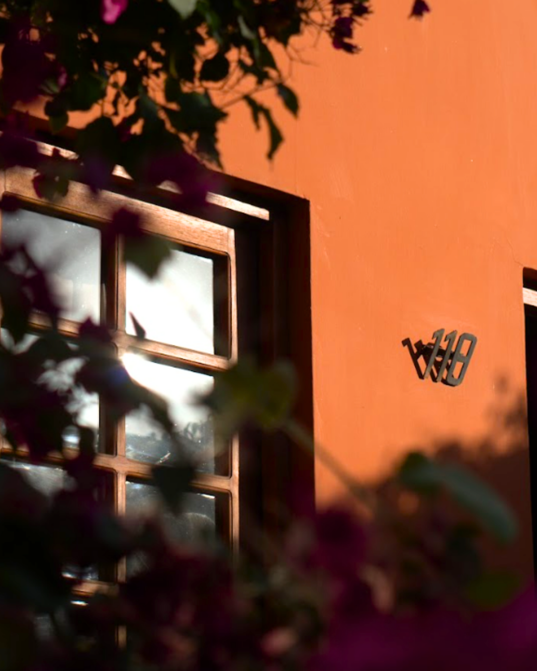 Pared naranja iluminada por el sol con una ventana, parcialmente enmarcada por flores y hojas de color púrpura oscuro.