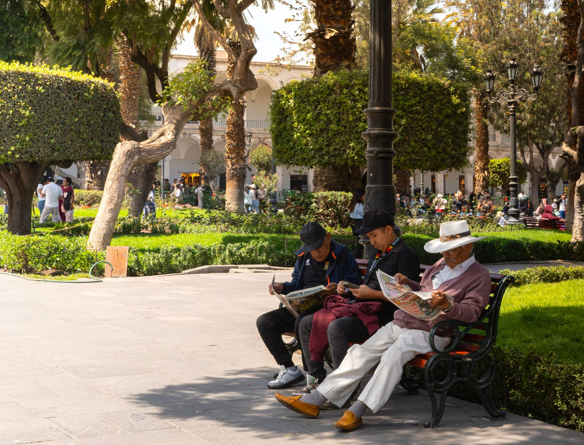 Gente sentada en un banco de un parque bajo la sombra de árboles altos en un soleado sendero ajardinado.