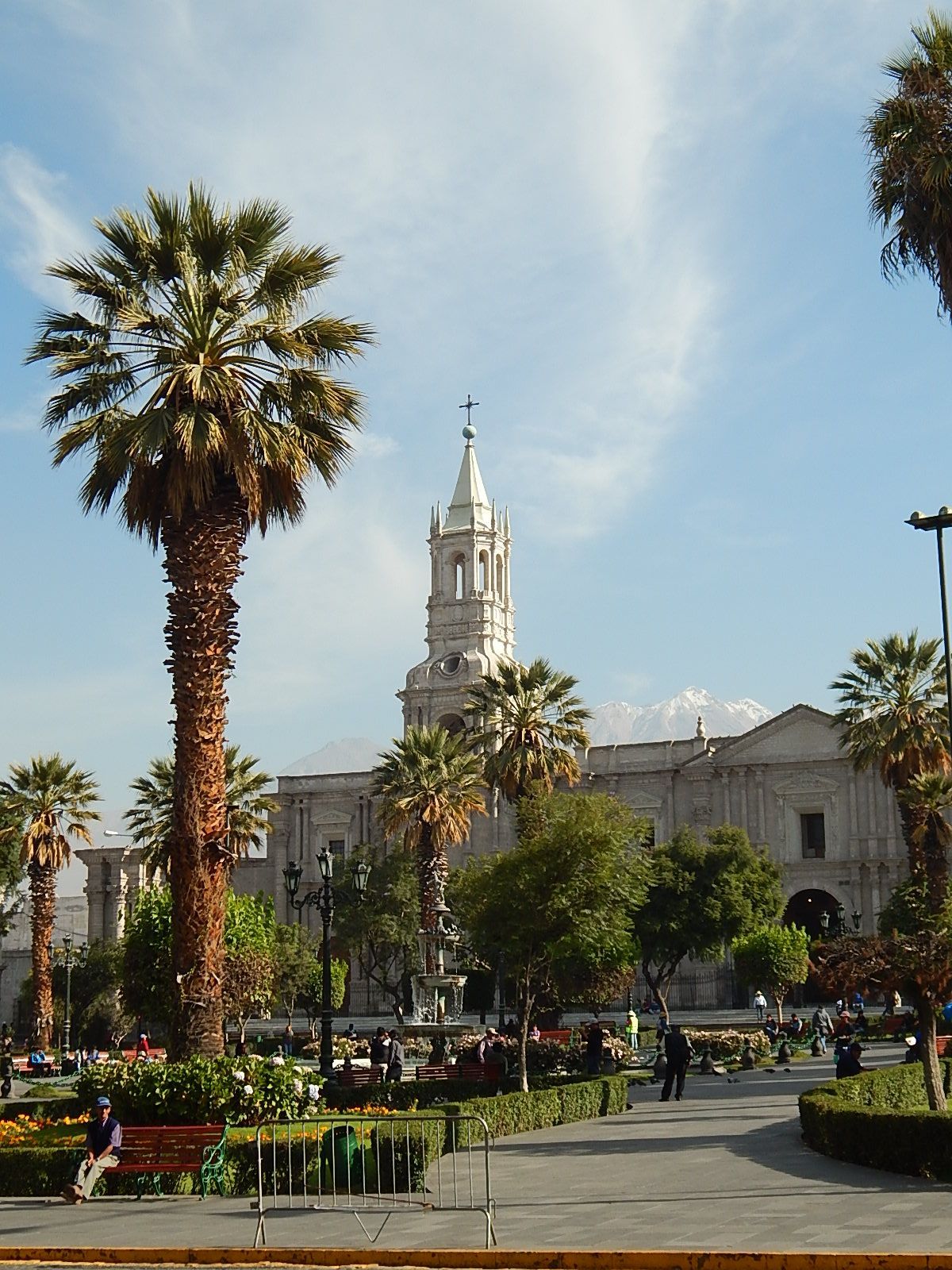 Plaza de la ciudad con palmeras, gente y un edificio histórico blanco bajo un cielo azul claro.