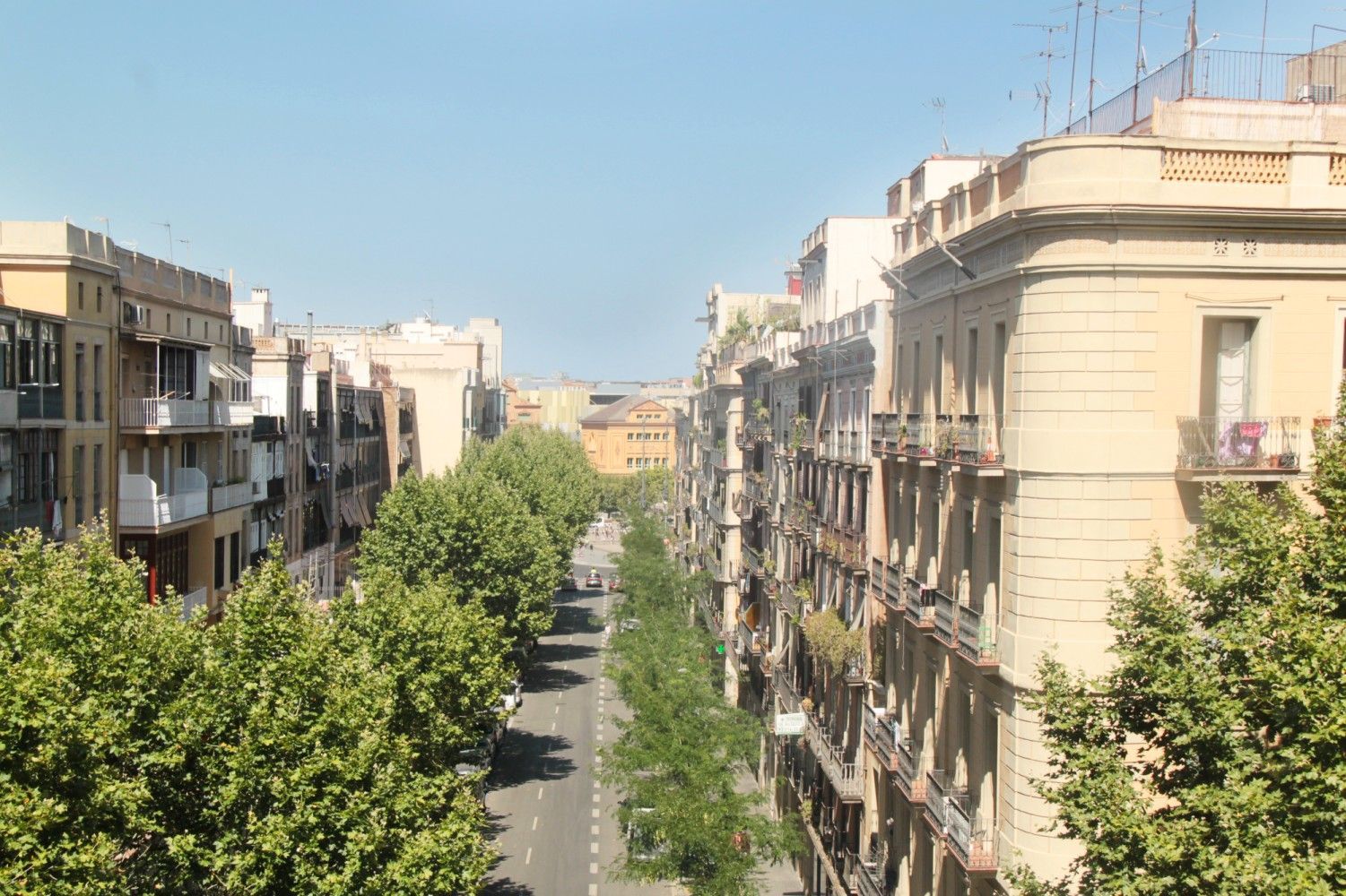 Una calle recta de la ciudad bordeada de árboles vista desde arriba, flanqueada por altos edificios residenciales.