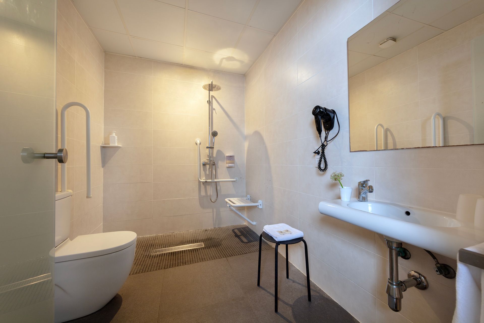 Baño accesible con inodoro, barras de apoyo, ducha a ras de suelo, lavabo y espejo.