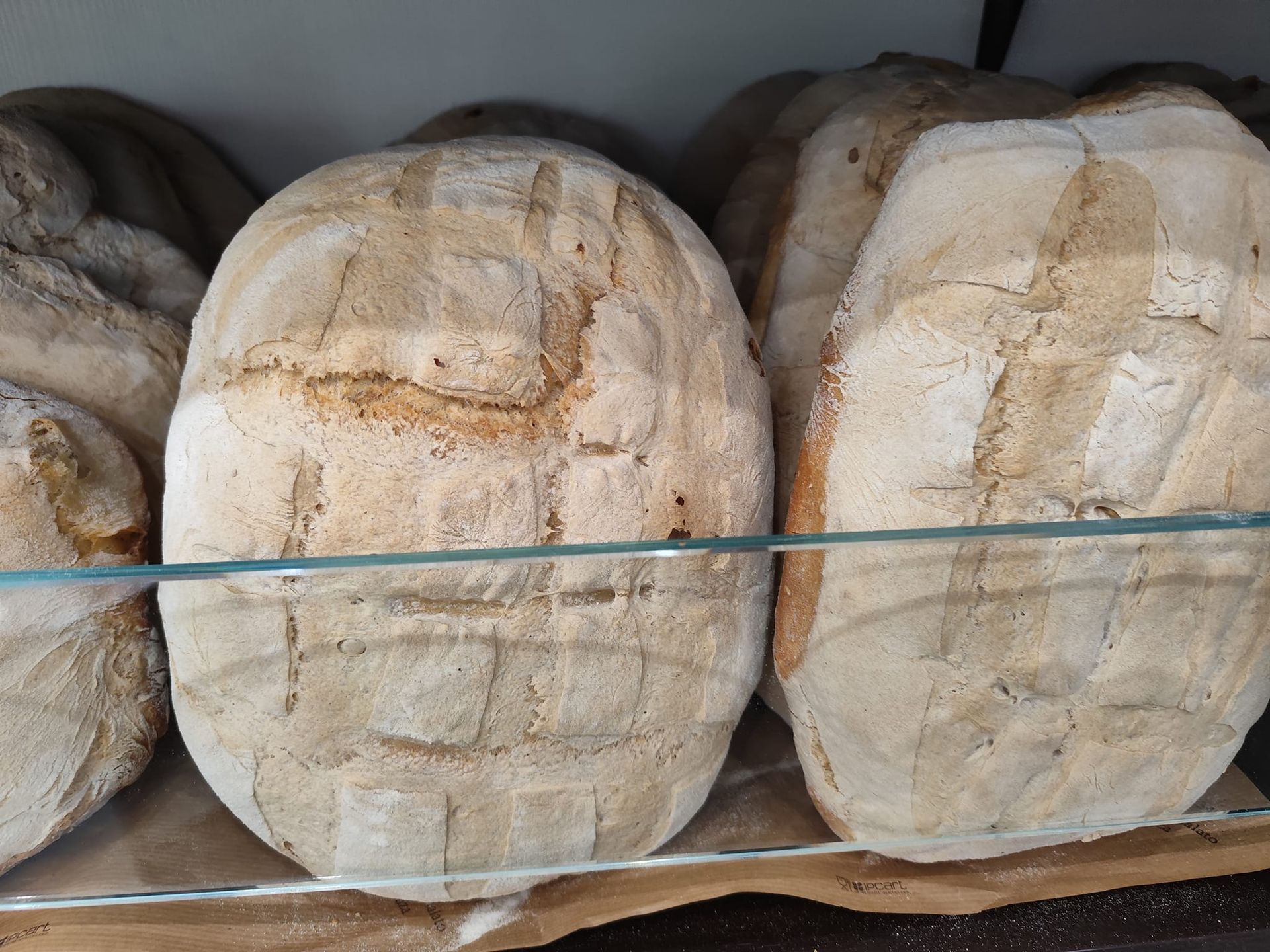 Diverse pagnotte di pane sono appoggiate su uno scaffale di vetro