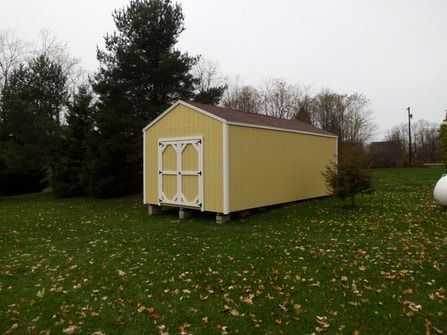 Yellow shed with white door trim in a grassy yard.