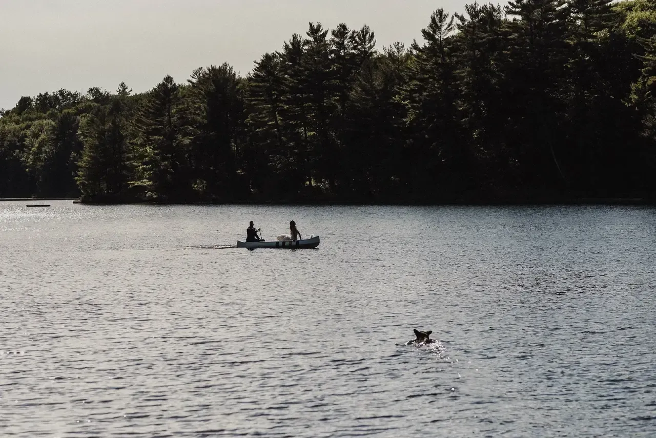 Two people in a canoe on a lake with trees in the background.