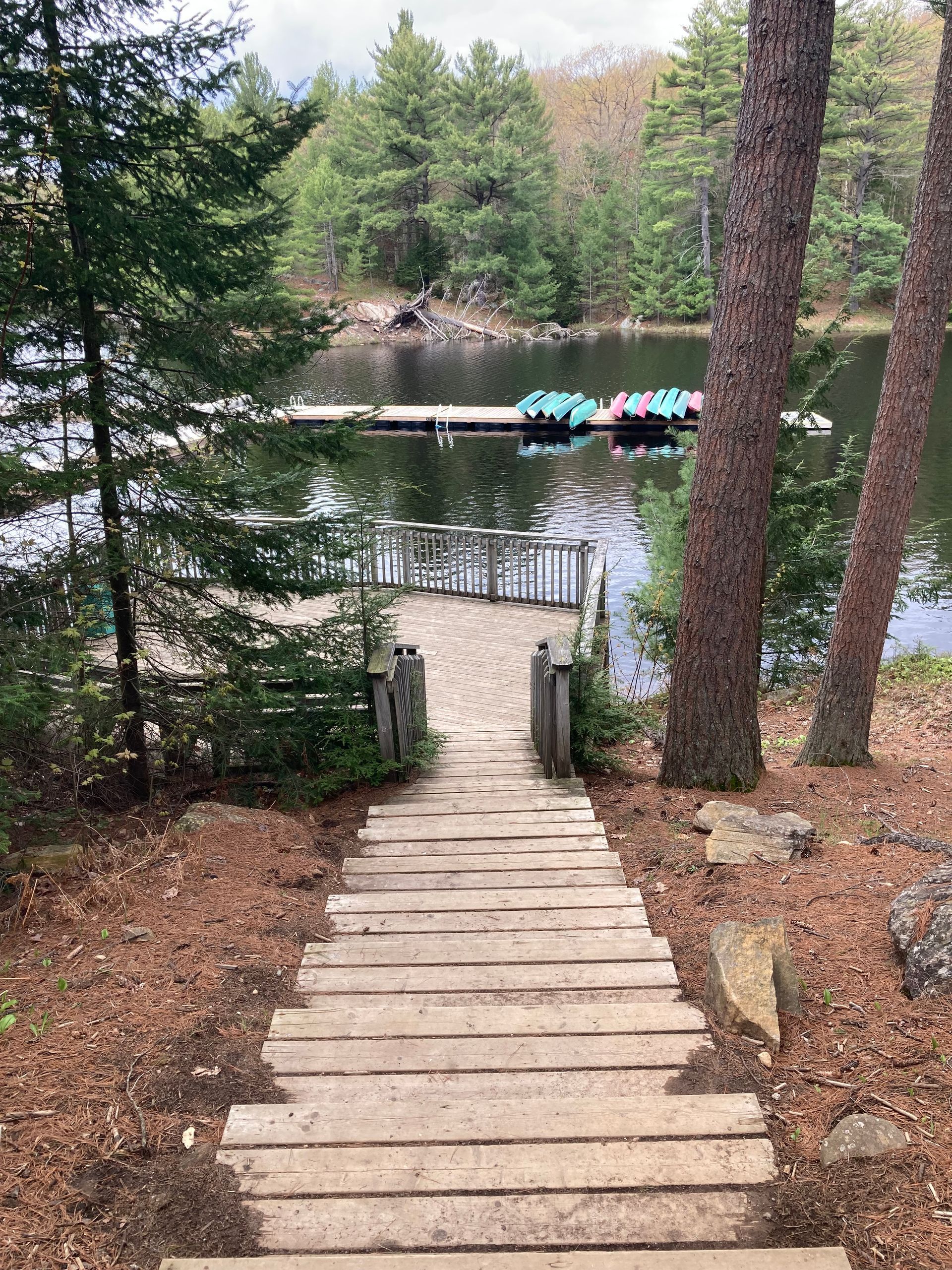 A wooden walkway leading to a lake surrounded by trees.