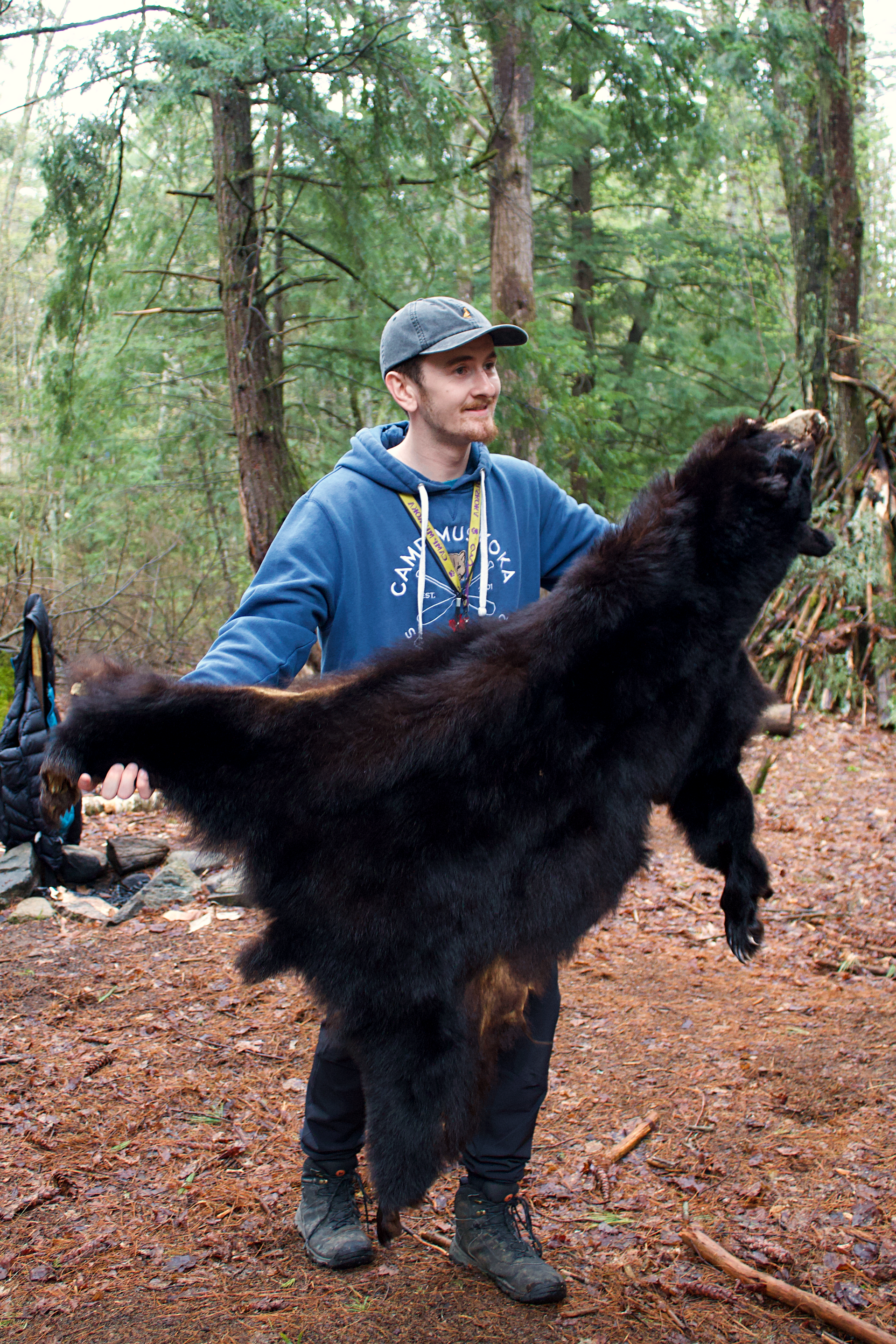 A man is holding a large black bear pelt in the woods.