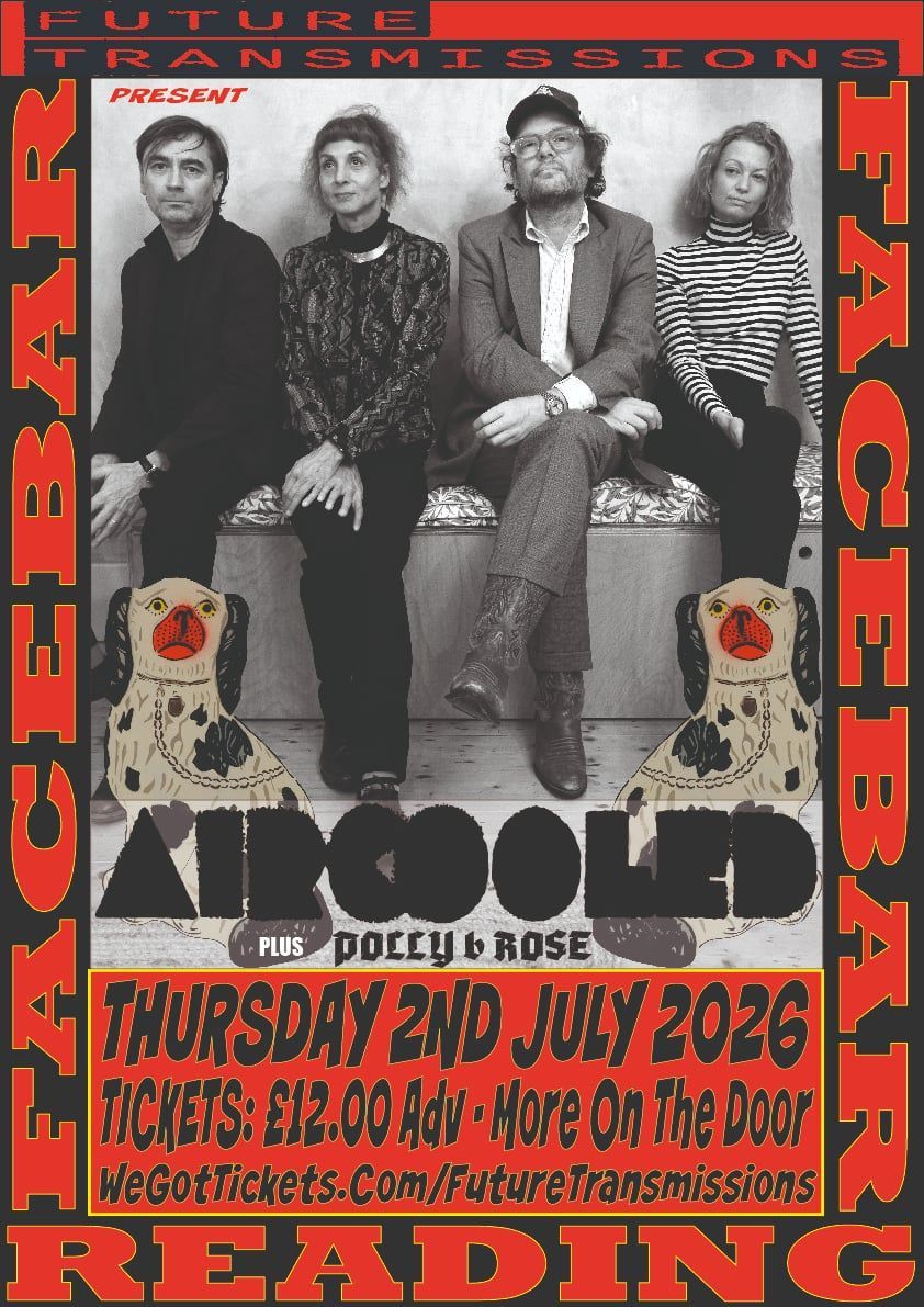 A Picture of Aircooled with Chinese dog images in foreground