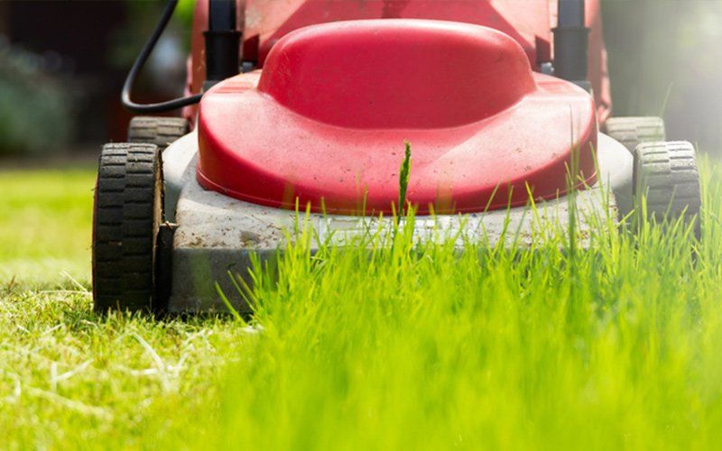 Lawn Mowing In The Garden — Lawn Mowers In Bowen QLD