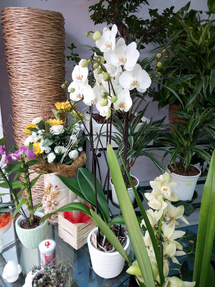 Addobbo cerimonia funebre