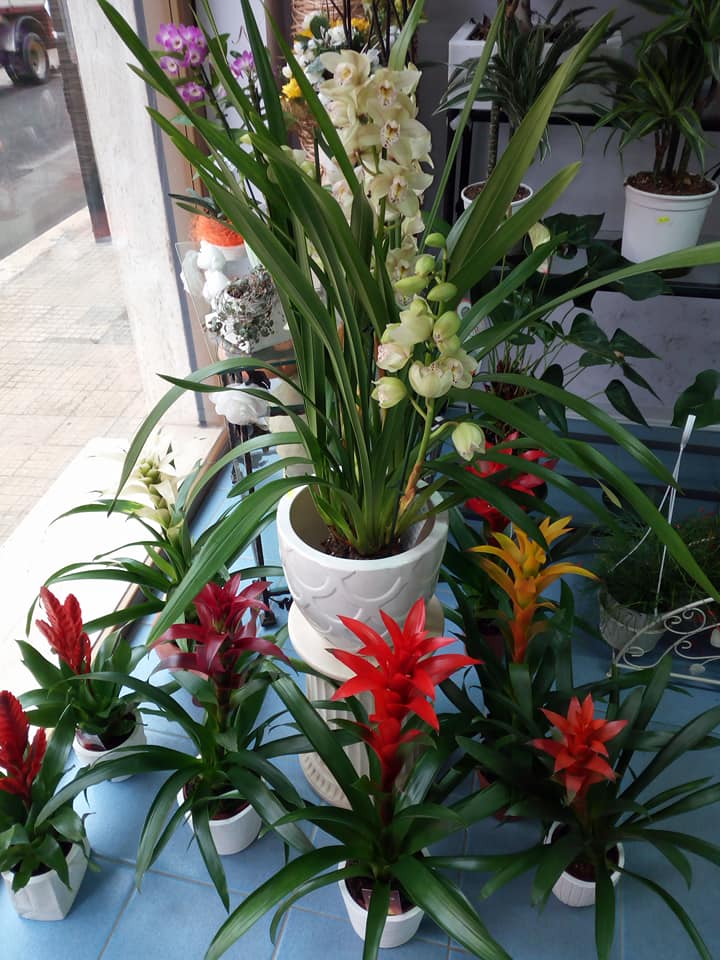 Addobbo floreale per cerimonia funebre