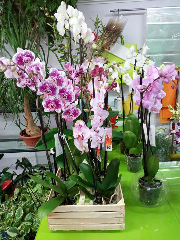 Addobbo floreale per funerale