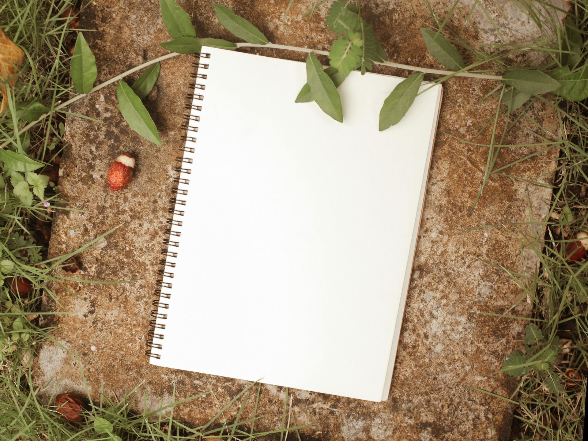 Blank spiral notebook on a rocky ground with green leaves around it