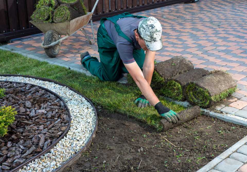 man rolling out sod grass rolls