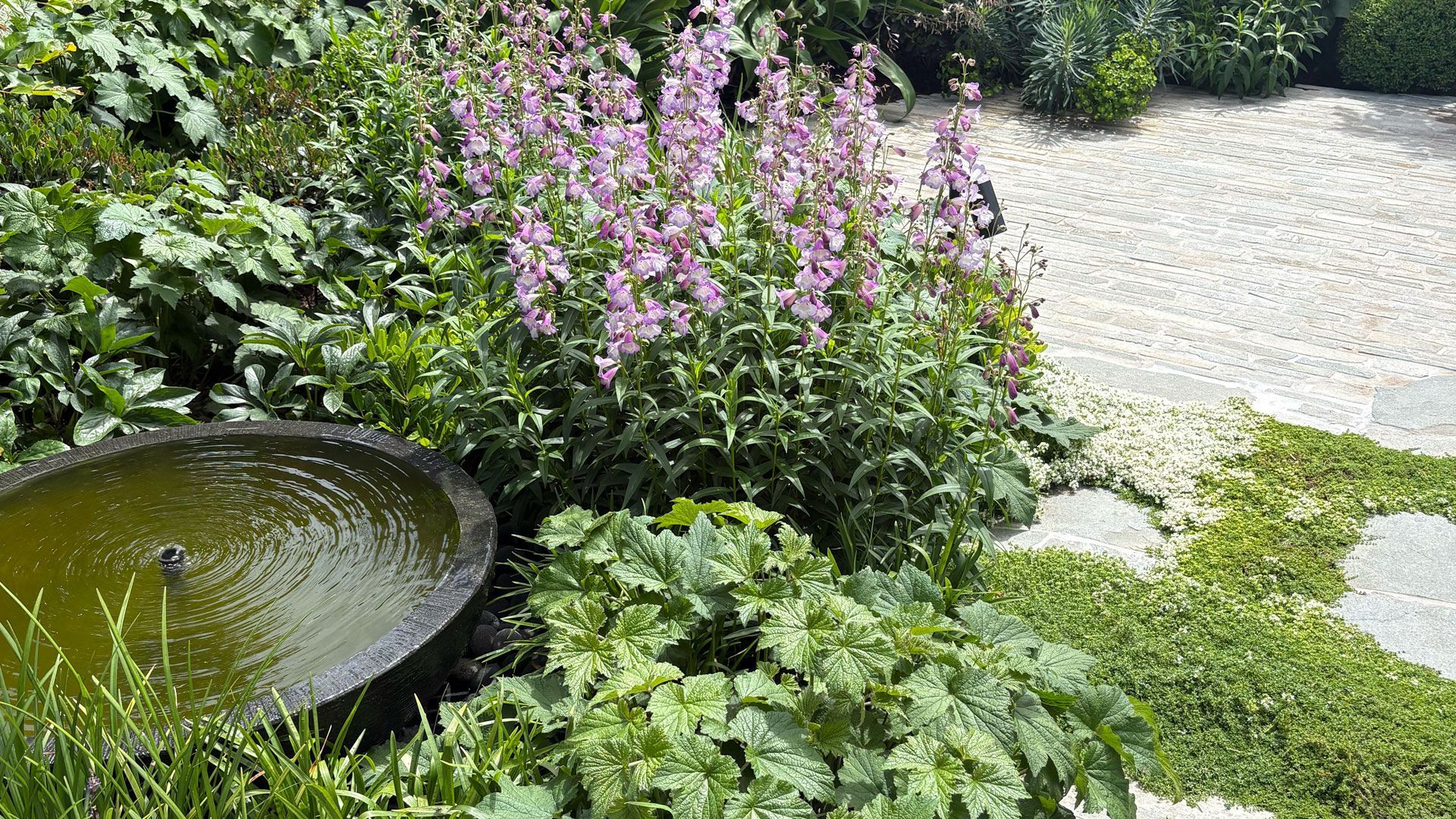 Paul Pritchard Landscape Design Beast Bentleigh