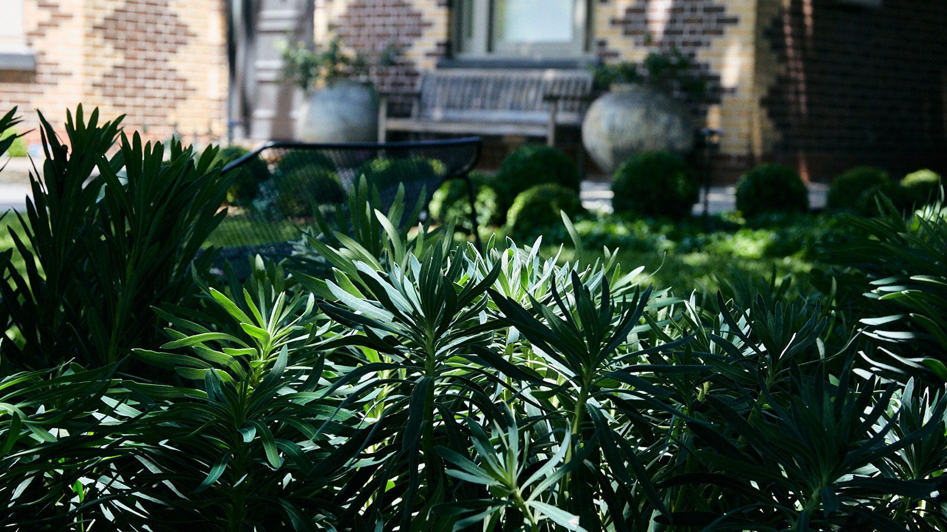 Paul Pritchard Landscape Design Beast Brighton