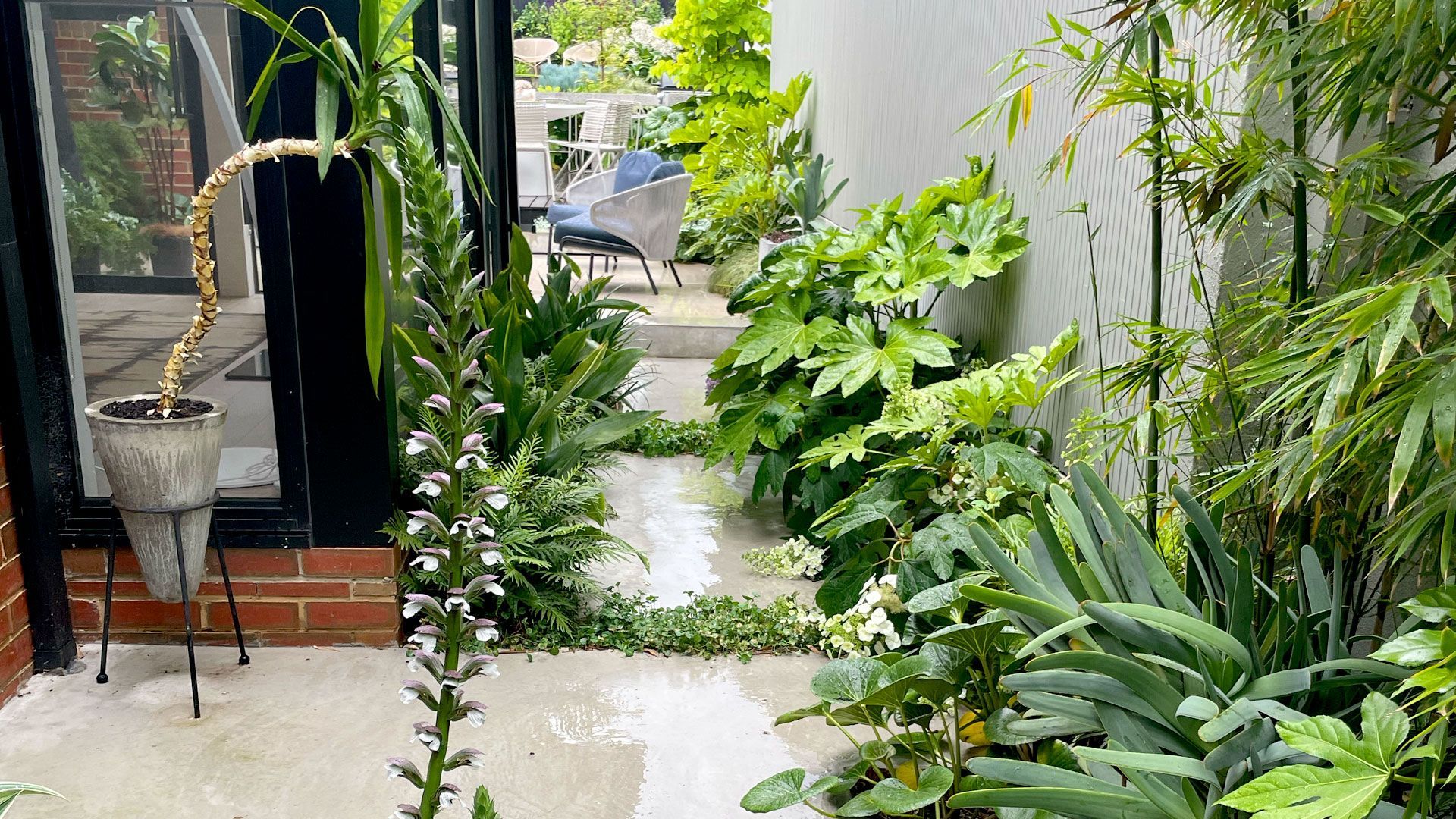 Modern house with pool, shaded patio, and wooden pergola. Turquoise water, glass walls, and dark wood siding.