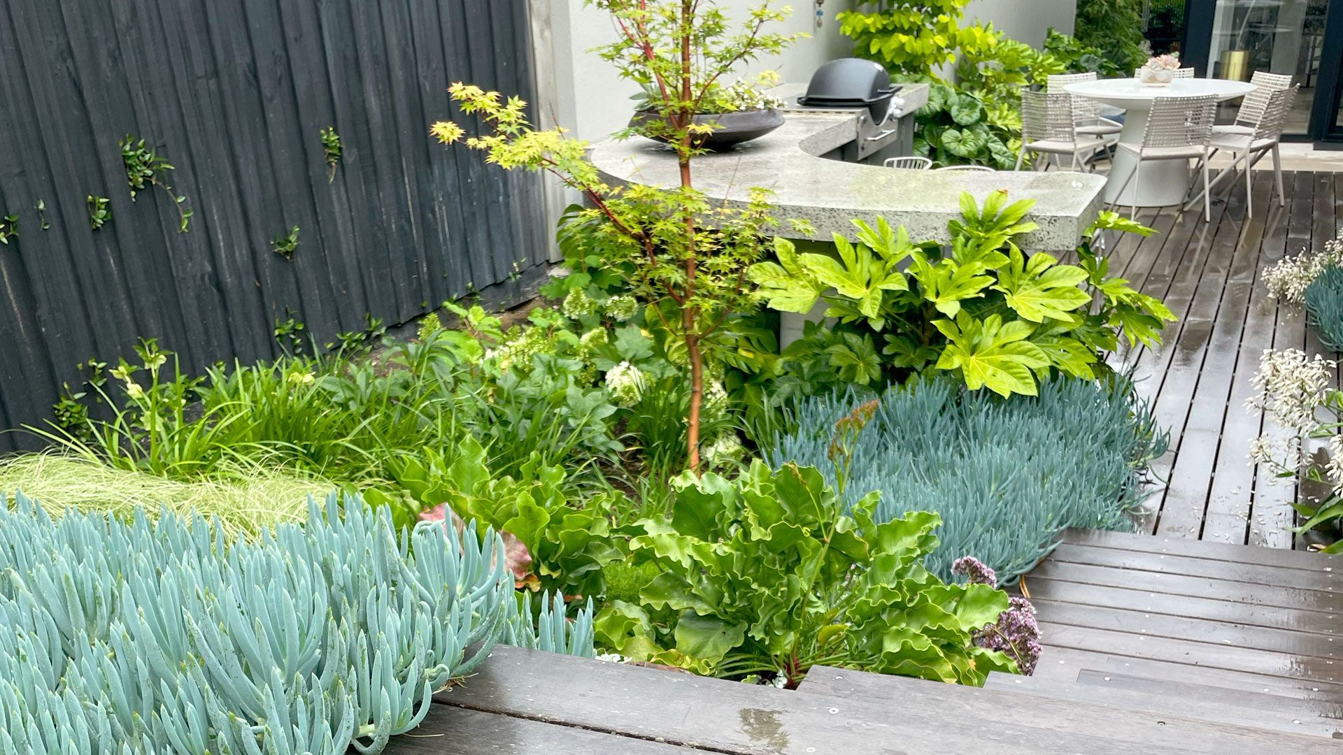 Modern home with pool, lounge area, and dark wood exterior. Sunny outdoor setting.