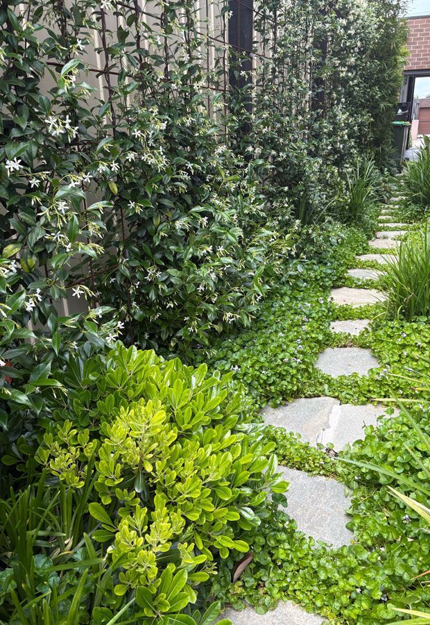 Paul Pritchard Landscape Design Beast Bentleigh