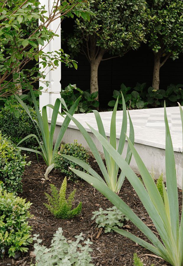 Sandringham Landscape Design