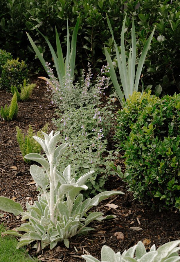 Modern house with pool, shaded patio, and wooden pergola. Turquoise water, glass walls, and dark wood siding.