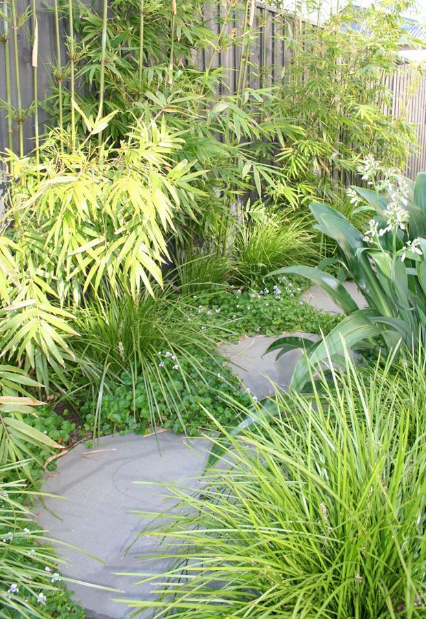 Outdoor lounge area with a pool. Features a white pergola, seating, and lush landscaping.