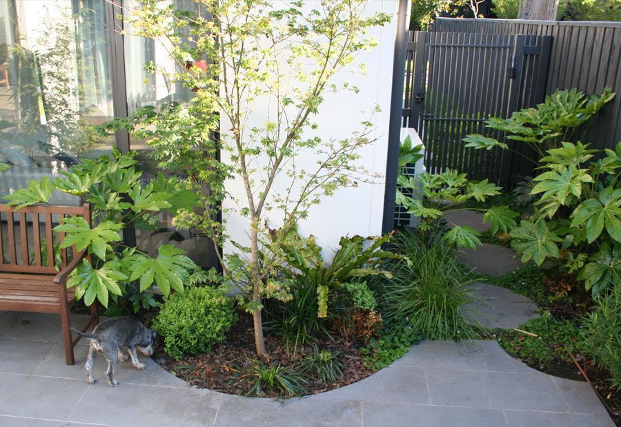 Modern home with pool, lounge area, and dark wood exterior. Sunny outdoor setting.
