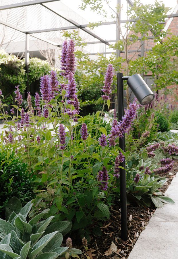 Outdoor lounge area with a pool. Features a white pergola, seating, and lush landscaping.