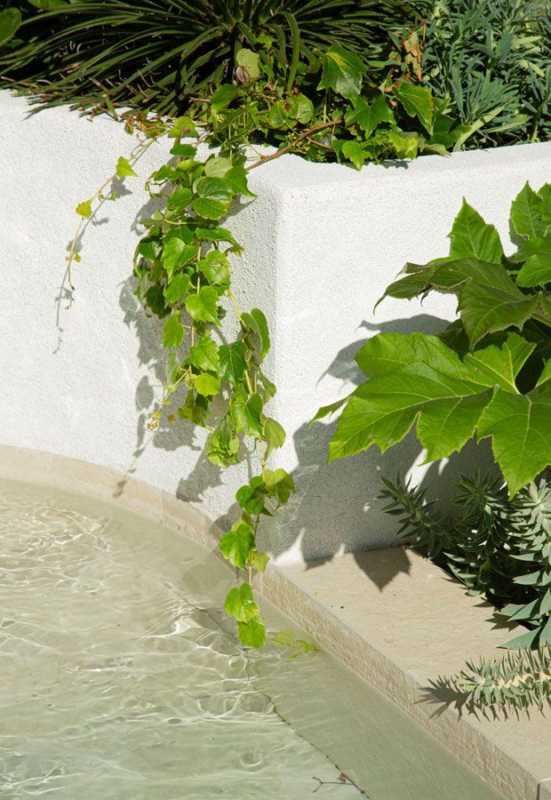 Paul Pritchard Melbourne International Flower & Gardens Show 2024 – Innersanctum