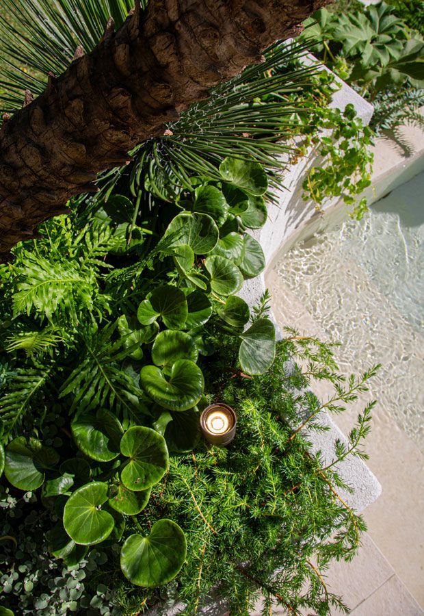 Outdoor lounge area with a pool. Features a white pergola, seating, and lush landscaping.