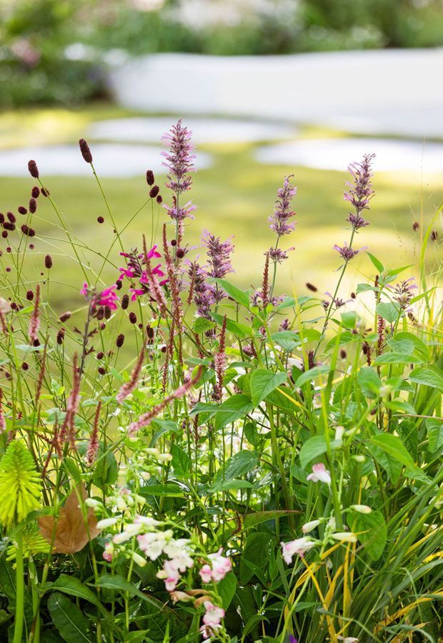 Paul Pritchard Melbourne International Flower & Gardens Show 2025 – Nostalgia